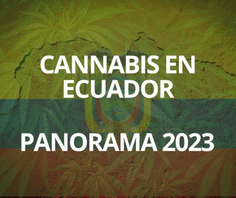 CANNABIS EN ECUADOR. PANORAMA 2023