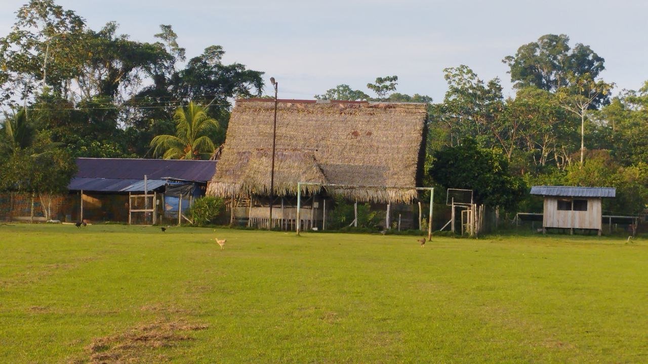 Vista general del hospedaje comunitario en la comunidad Llanchama en el Yasuní, Ecuador