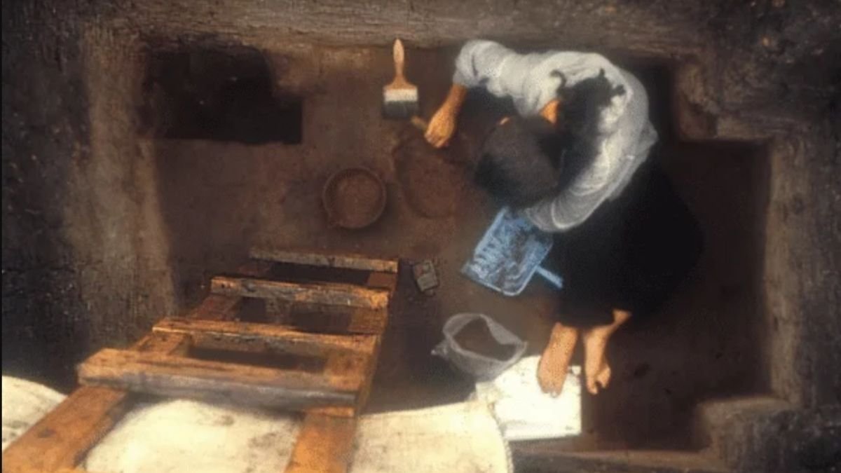 Archaeologists turn their attention back to Real Alto