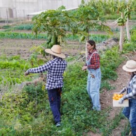 Agricultores en finca agroecológica diversa