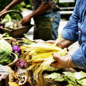 Mercado agroecológico andino