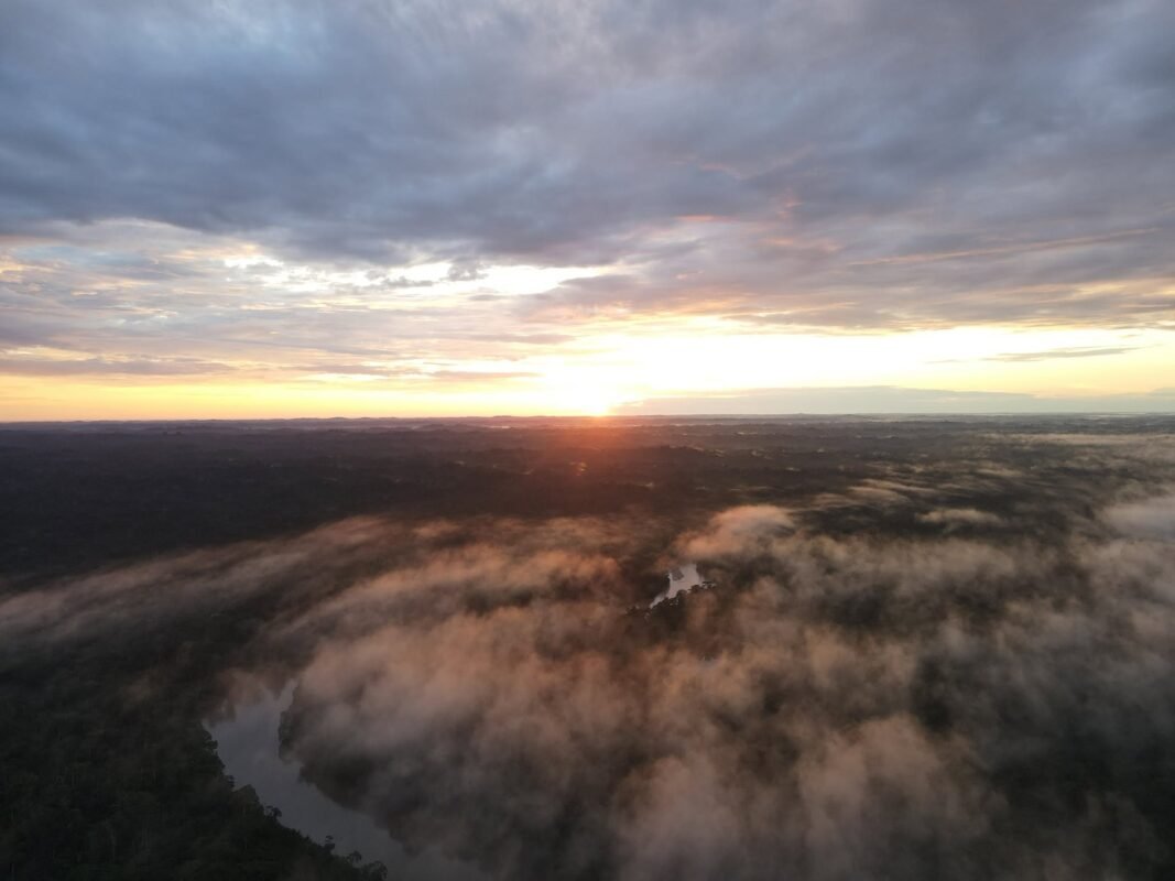 Panoramic of Kawsak Sacha - Living Jungle. Image credit: Sarayaku Defenders of the Jungle