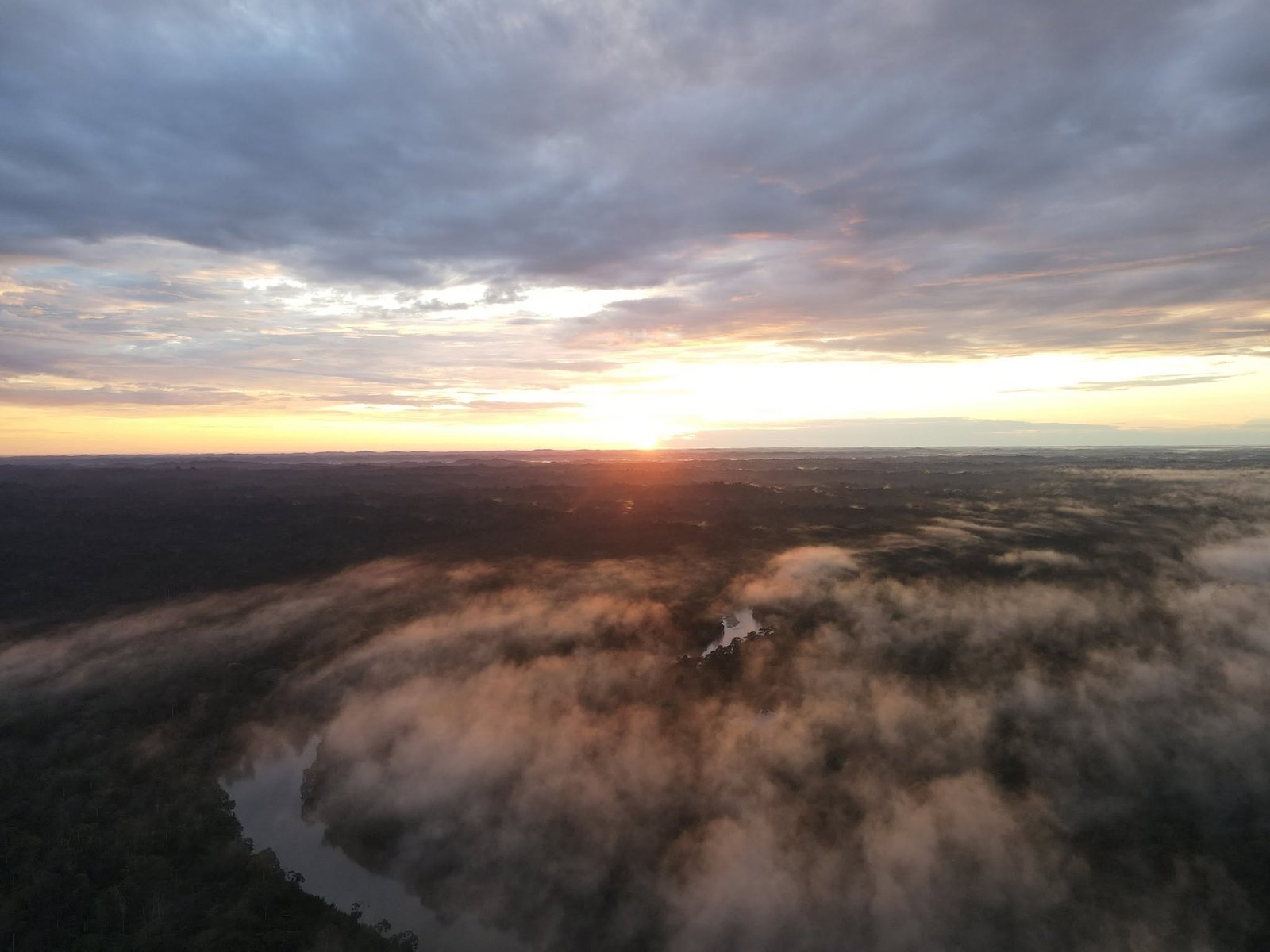 Panorámica de Kawsak Sacha - Selva Viviente. Imágen crédito: Sarayaku Defensores de la Selva
