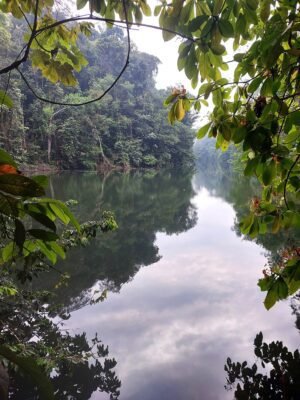 Rio en la Selva Amazónica de Ecuador