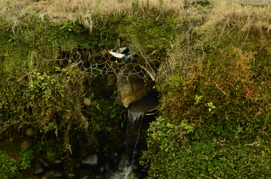 Aguas negras vertidas directamente en el río Puyo